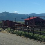 The view of Mt Lola in the distance taunts me on my daily commute.