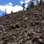 When the snow covered the main trail, we headed straight up.